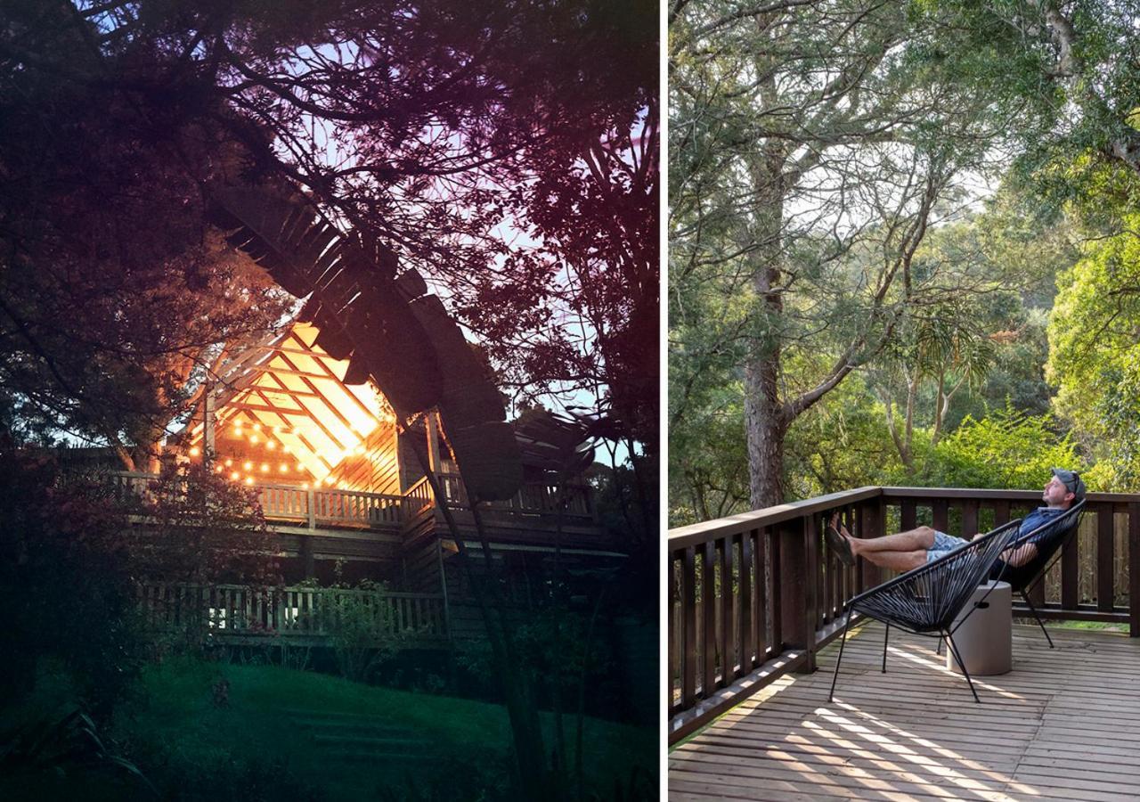 Villa Forestchild Self Catering, The Crags Extérieur photo